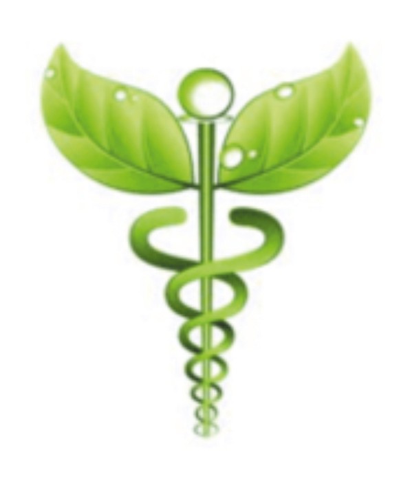 Govt Ayurveda College