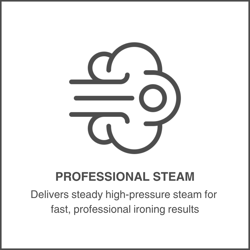 Professional Steam
